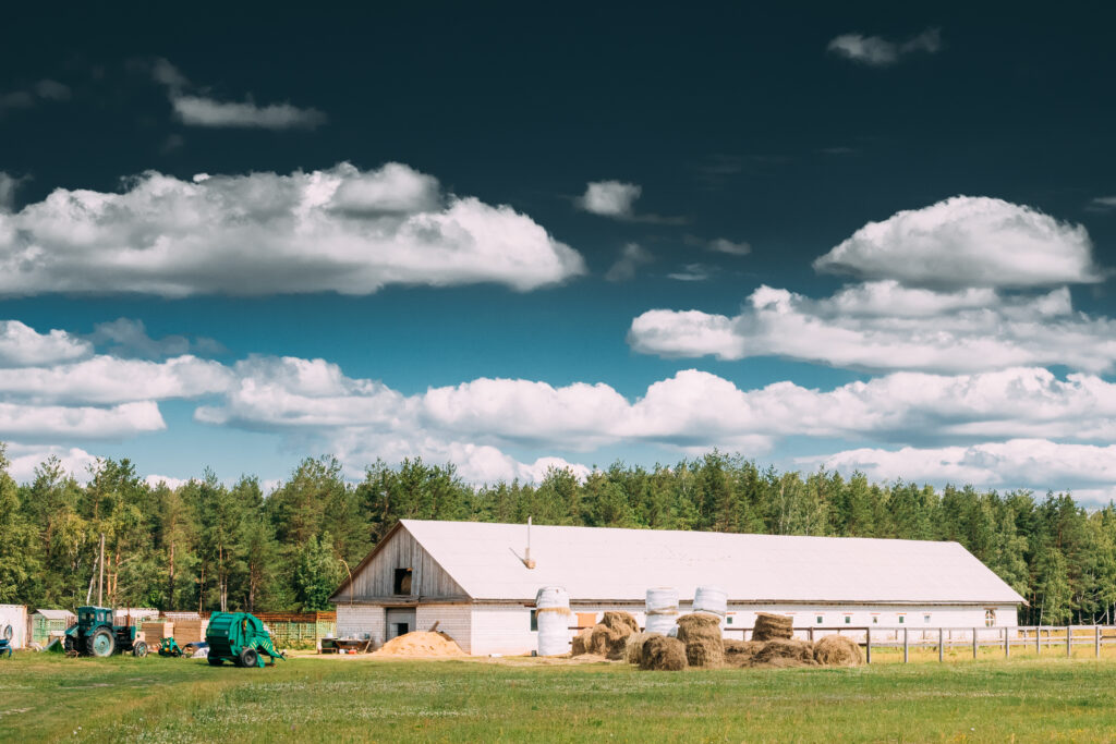 Countryside Rural Paddock For Horse, Shed Or Barn Or Stable With Haystacks In Late Summer Season. Agricultural Rural Farm Landscape At Sunny Day.